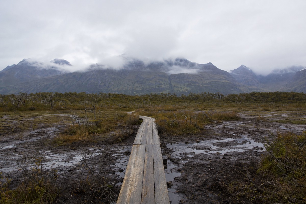 A raised timber boardwalk crossing wet ground on an easy Patagonian trail