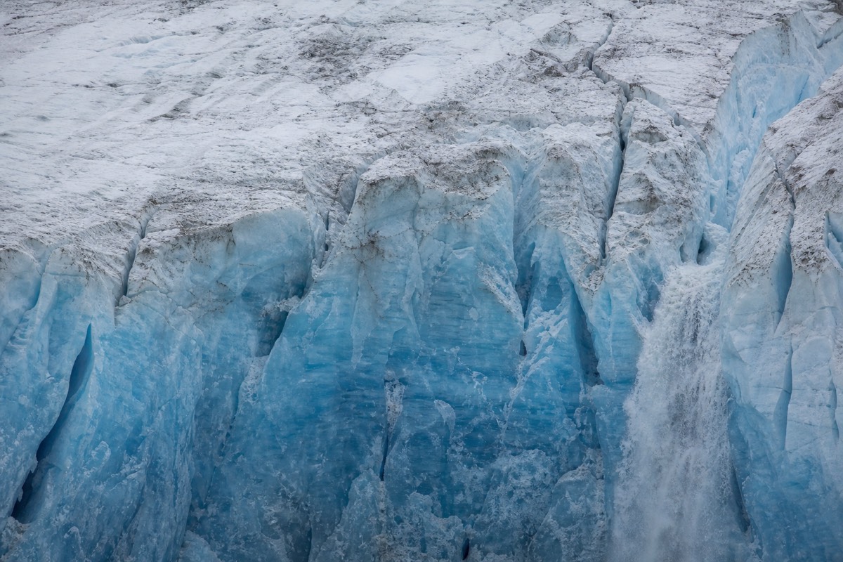 The face of Grey Glacier above the lake