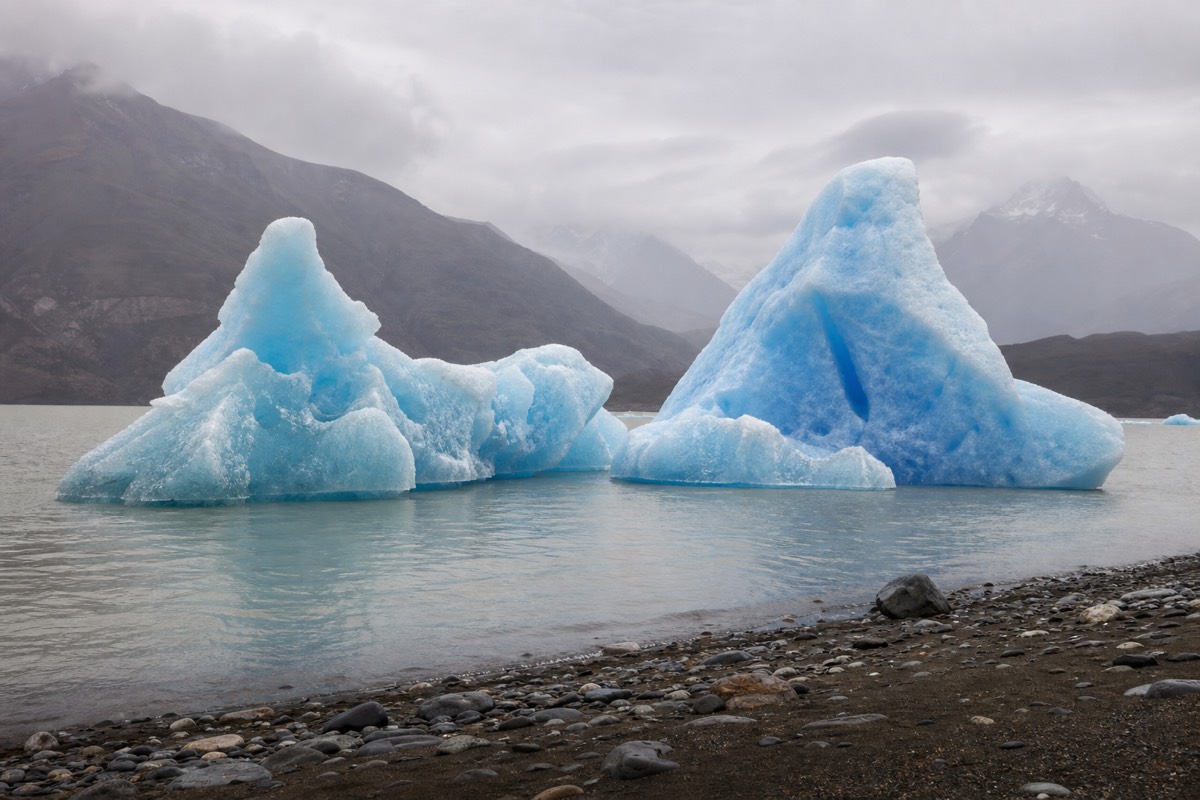 Blue icebergs floating on Lago Grey below the glacier front in Torres del Paine