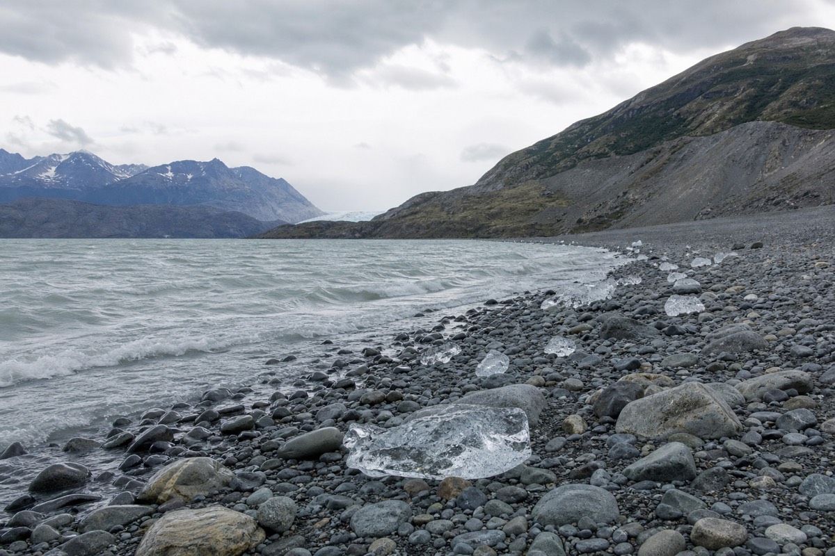 Icebergs stranded at the south end of Lago Grey