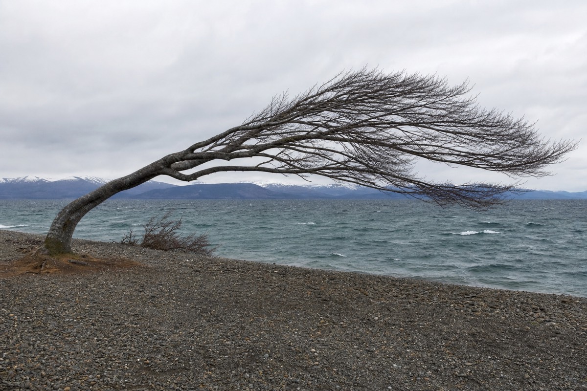 Wind tearing the surface off a Patagonian lake