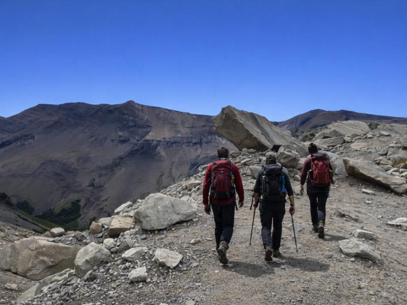 Torres del Paine Base Torres Trekking Day Trip from Puerto Natales